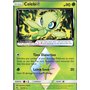 LOT 019 - Celebi