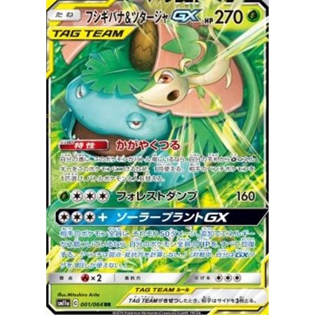 sm11a 001 - Venusaur & Snivy EX