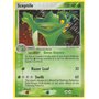 EM 010 - Sceptile