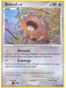 POP6 011 - Bidoof Lv.10