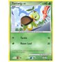 POP6 017 - Turtwig Lv.10