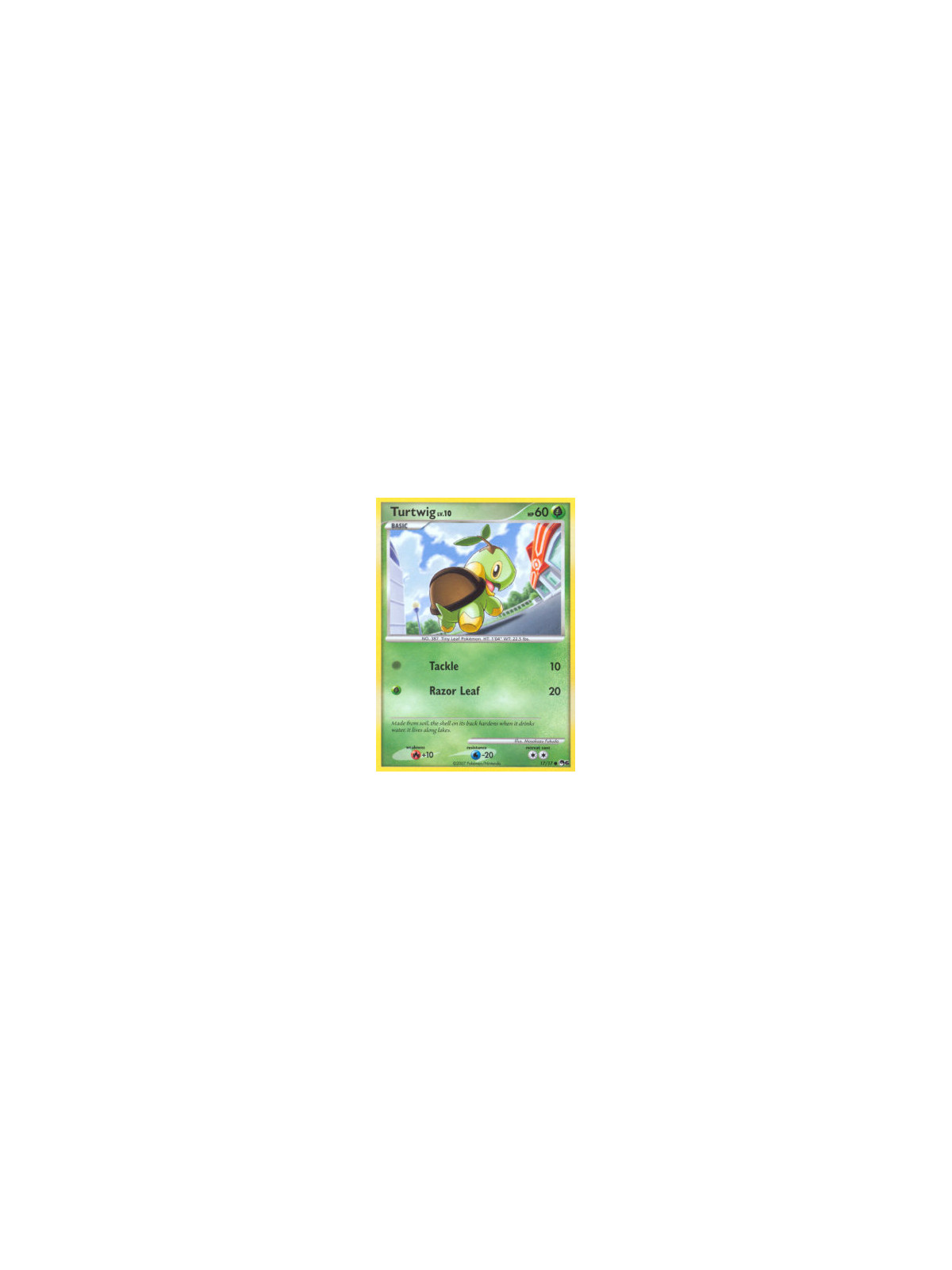 POP6 017 - Turtwig Lv.10