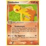 POP4 006 - Combusken - Holo