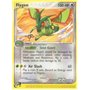 DR 015 - Flygon