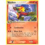 HP 020 - Blaziken