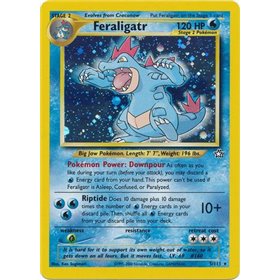 NG 005 - Feraligatr NG 005 - Feraligatr