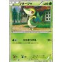 CS1 001 - Snivy