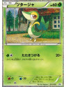 CS1 001 - Snivy