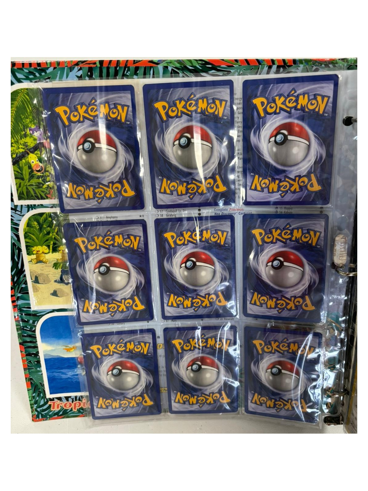 Pokémon Southern Islands Collection Complete