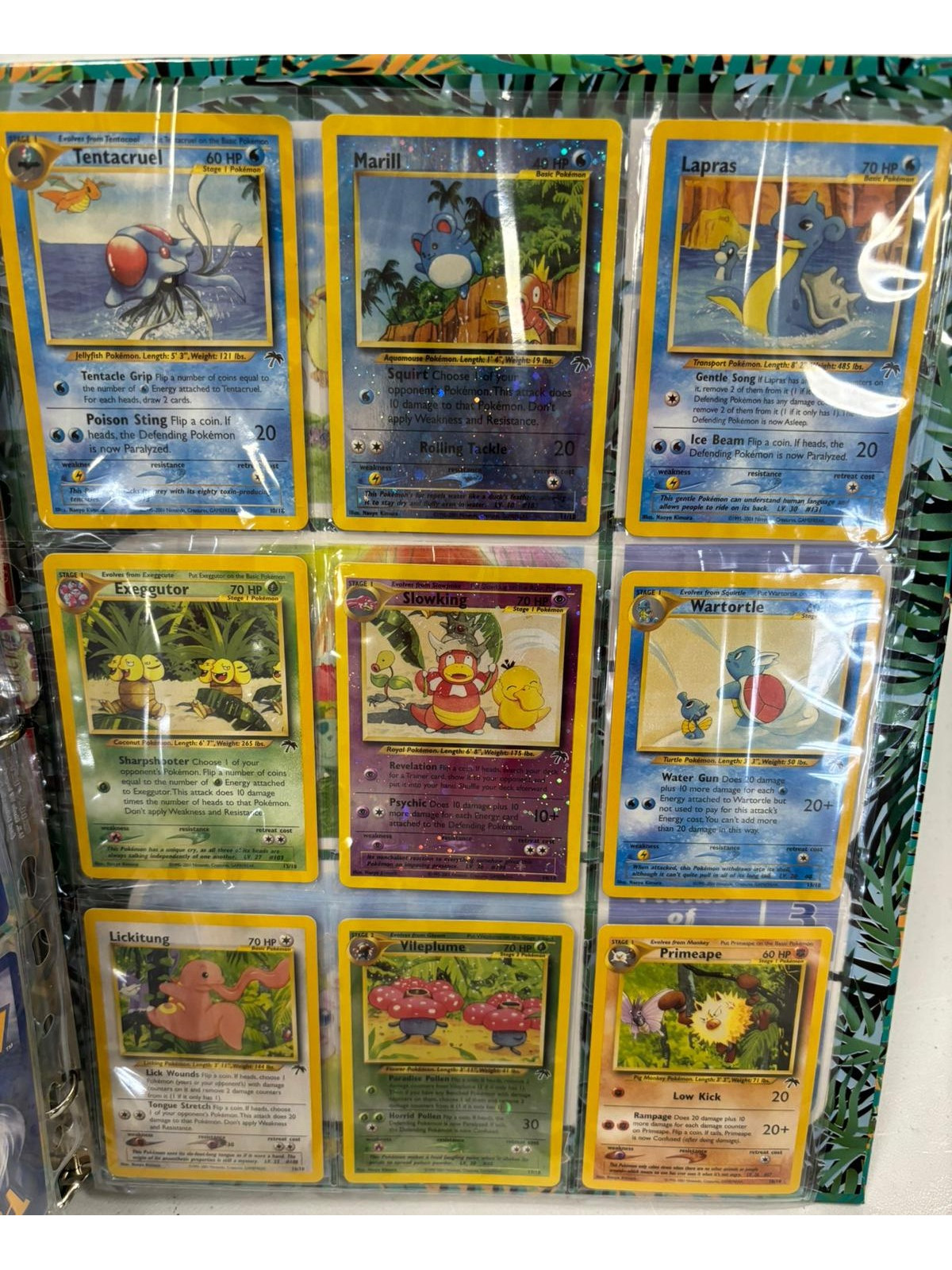 Pokémon Southern Islands Collection Complete