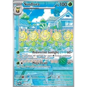 TWM 169 - Sunflora TWM 169 - Sunflora