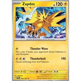 TWM 065 - Zapdos - Holo TWM 065 - Zapdos
