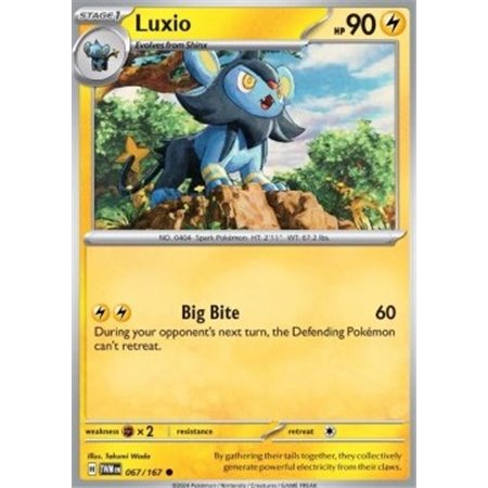 TWM 067 - Luxio - Reverse Holo