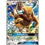 sm1M 047 - Tauros GX