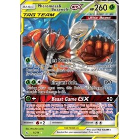 Pheromosa & Buzzwole GX  Pheromosa & Buzzwole GX