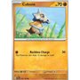 SCR 072 - Cubone