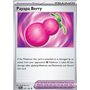 SCR 141 - Payapa Berry