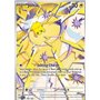 SCR 150 - Joltik