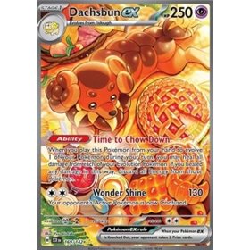 SCR 169 - Dachsbun EX