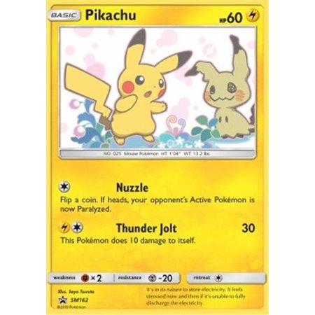 SM 162 - Pikachu