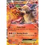 GEN 011 - Charizard EX