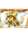STS 024 - Pyroar BREAK