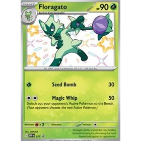 SVP 077 - Floragato SVP 077 - Floragato