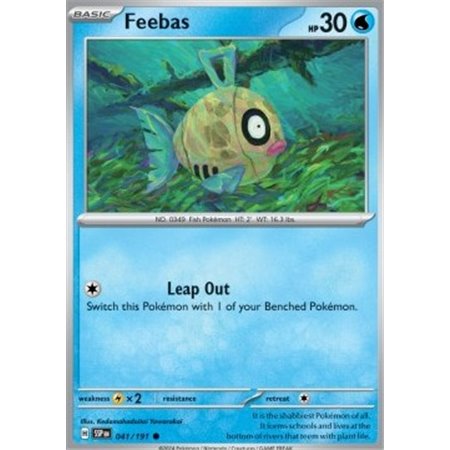 SSP 041 - Feebas