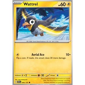 SSP 066 - Wattrel SSP 066 - Wattrel