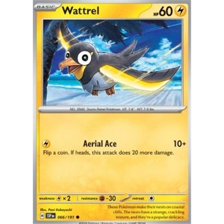 SSP 066 - Wattrel - Reverse Holo