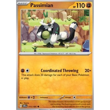 SSP 111 - Passimian