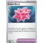 SSP 168 - Colbur Berry