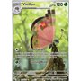 SSP 193 - Vivillon