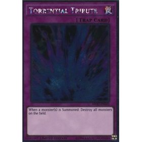 NKRT-EN043 - Torrential Tribute NKRT-EN043 - Torrential Tribute