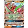 CEC 110 - Flygon GX