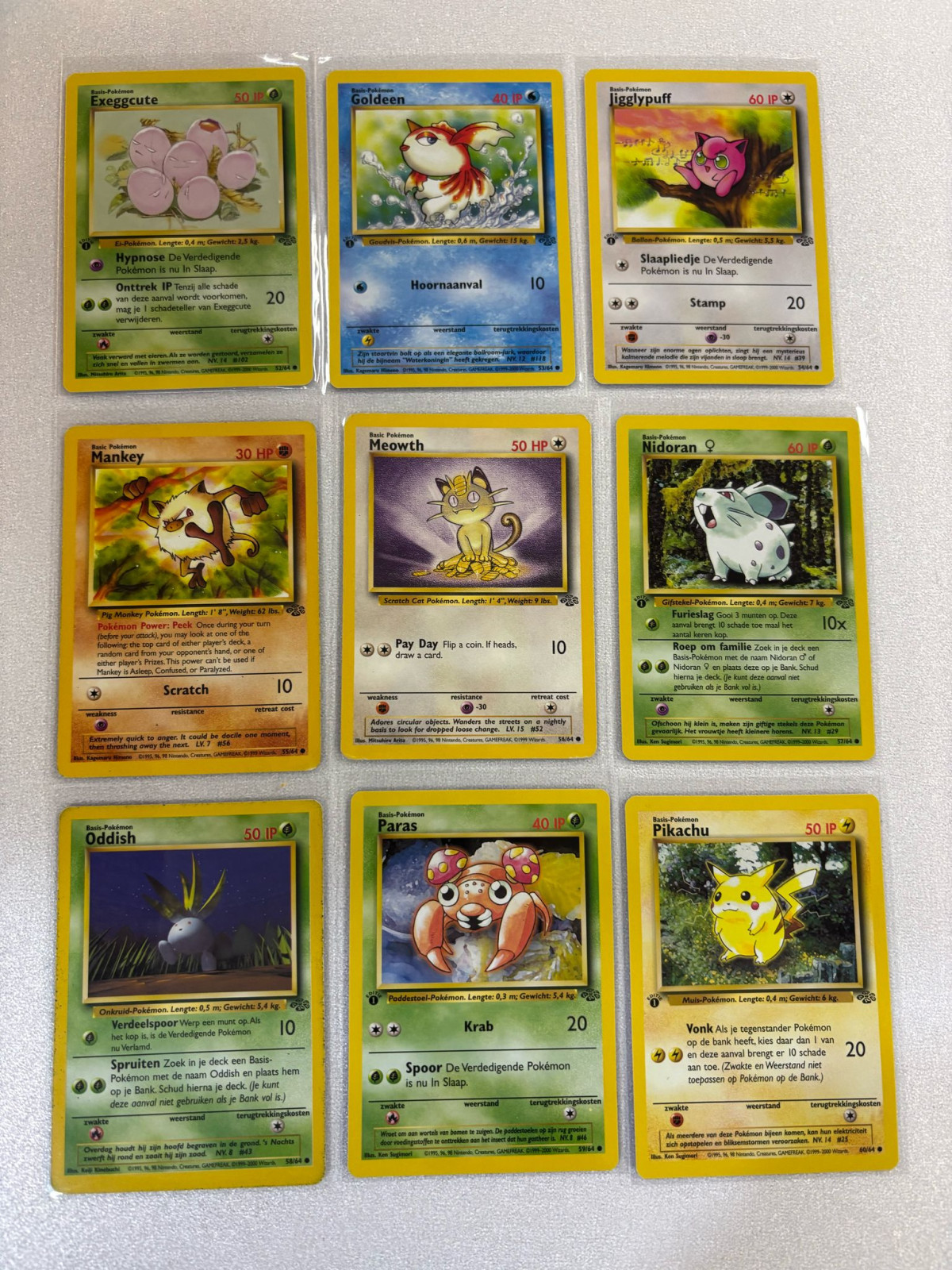 Pokémon Jungle Complete Set