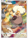 s8b 202 - Rockruff