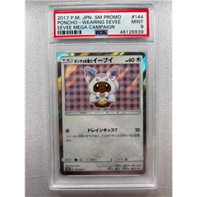 PSA - SM-P 144 - Poncho Wearing Eevee (9)