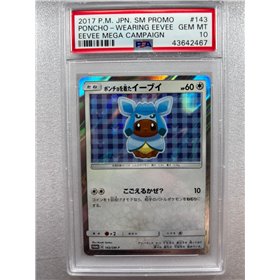 PSA - SM-P 143 - Poncho Wearing Eevee (10)
