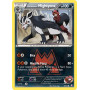 DCR 019 - Team Magma's Mightyena