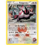 DCR 022 - Team Magma's Zangoose