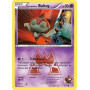 DCR 010 - Team Magma's Baltoy