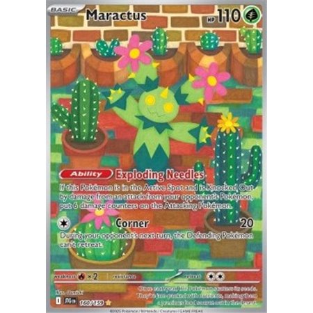 JTG 160 - Maractus
