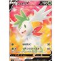 S9 101 - Shaymin V