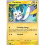 SVP 158 - Pachirisu