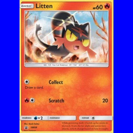 SM 008 - Litten