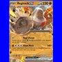 DRI 101 - Regirock ex