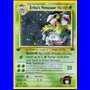 GC 004 - Erika's Venusaur
