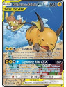 UNM 221 - Raichu & Alolan Raichu GX