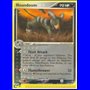 DR 034 - Houndoom - Reverse Holo